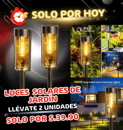 Oferta Par de luces de Jardín